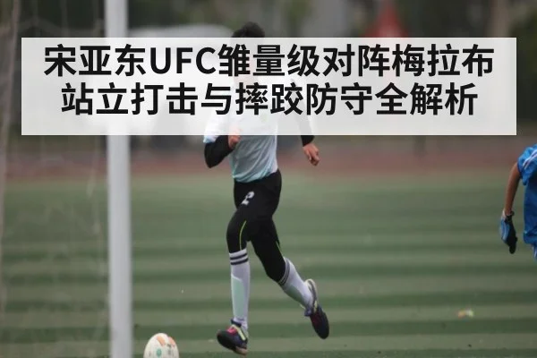 宋亚东UFC雏量级对阵梅拉布站立打击与摔跤防守全解析（kaiyun）