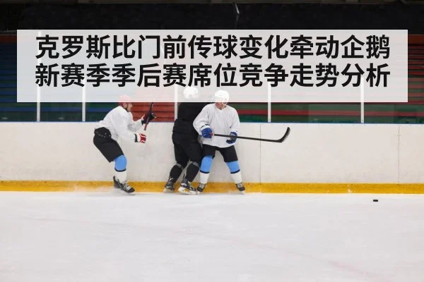 克罗斯比门前传球变化牵动企鹅新赛季季后赛席位竞争走势分析
